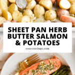 Sheet Pan Herb Butter Salmon Pin
